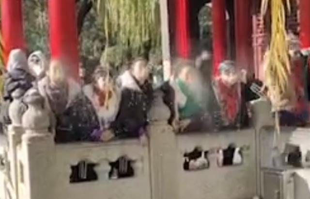 大妈向趵突泉集体吐水拍照 景区：希望游客文明游园