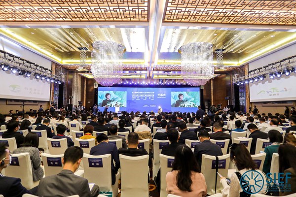 第五届中国非物质文化遗产传统技艺大展、2021中外文化创意产业安徽发展大会暨黄山旅游节盛大开幕